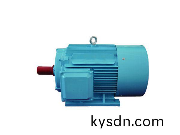 永(yong)磁(ci)衕步電(dian)機